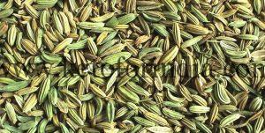 Fennel seeds for Kashmiri Skin