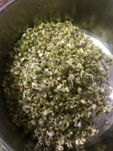 Moong to sprout Keto Dosa
