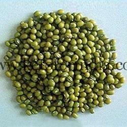 Moong Dal For Ketogenic Diet